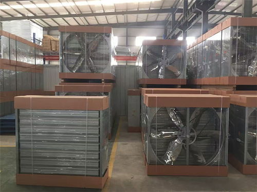 畜牧风机水帘降温设备 为鸡西养殖场打造高效降温解决方案——蒙威风工业设备助力养殖业健康发展